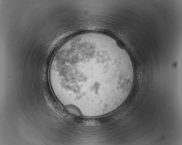 X0000115590587200912081051