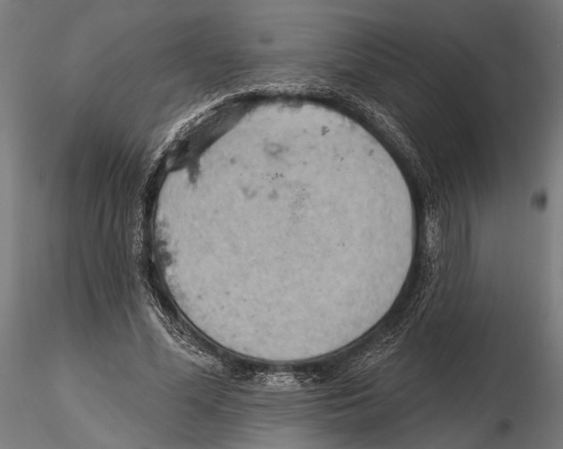 X0000115590588200912081051