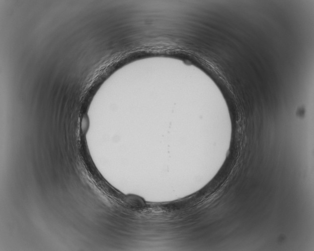 X0000115590589200912081051