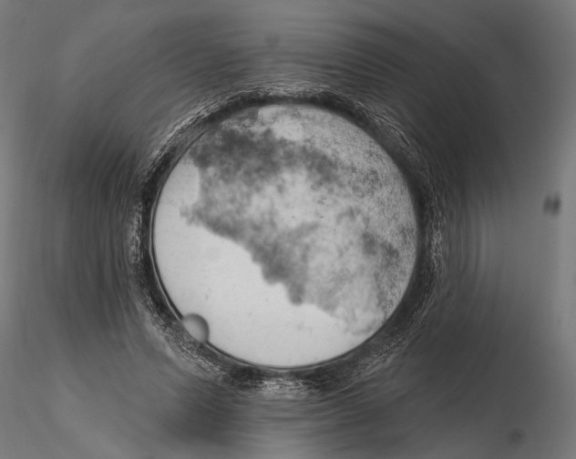 X0000115590591200912081051