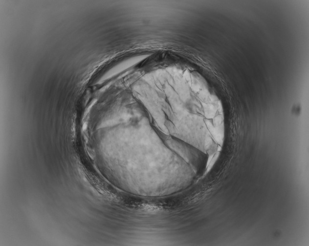 X0000115590592200912081051