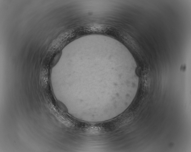 X0000115590593200912081051