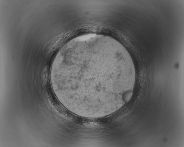 X0000115590594200912081051
