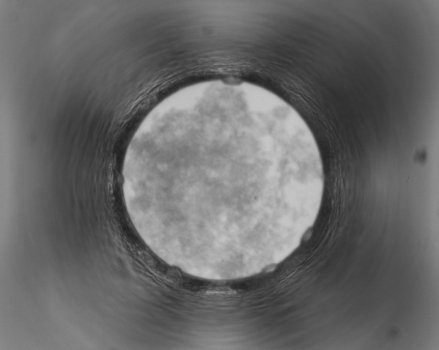 X0000115590595200912081051