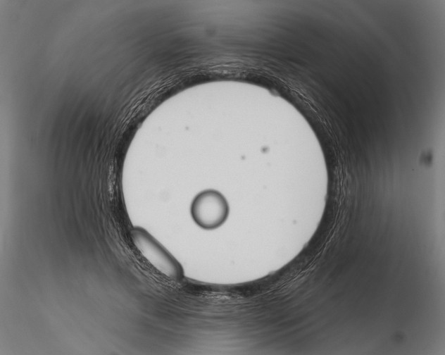 X0000115590597200912081051