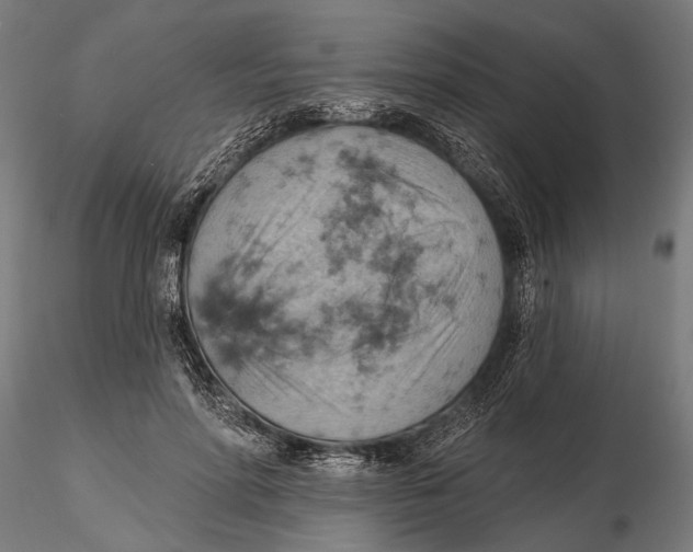X0000115590598200912081051
