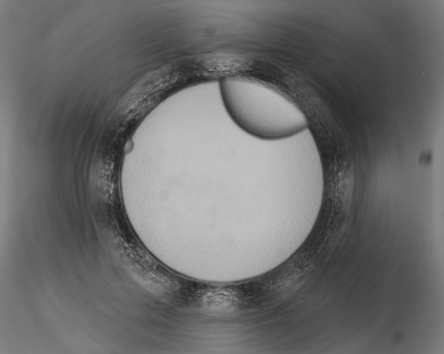 X0000115590599200912081051