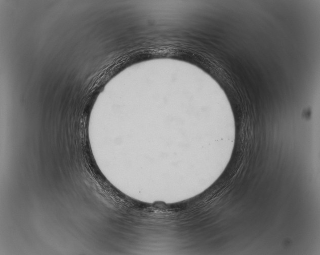 X0000115590601200912081051