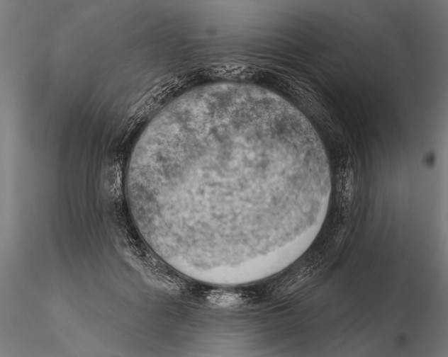 X0000115590602200912081051