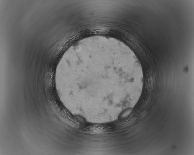 X0000115590604200912081051
