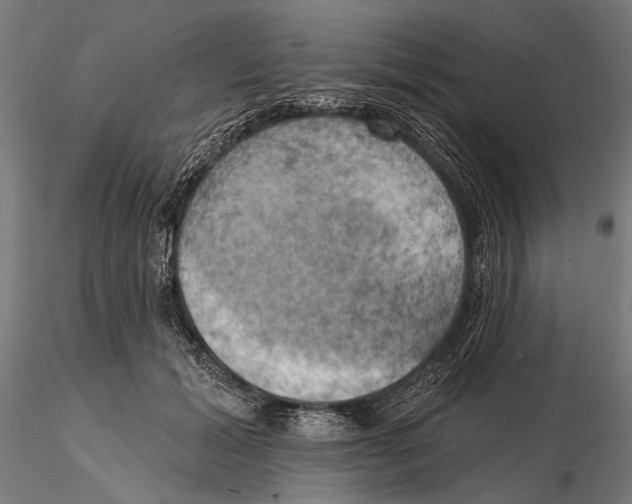 X0000115590605200912081051