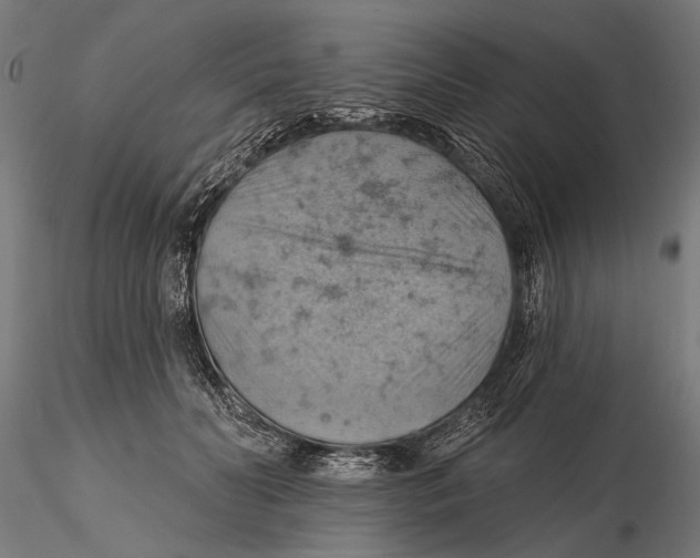 X0000115590606200912081051