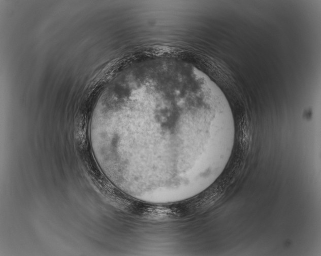 X0000115590607200912081051