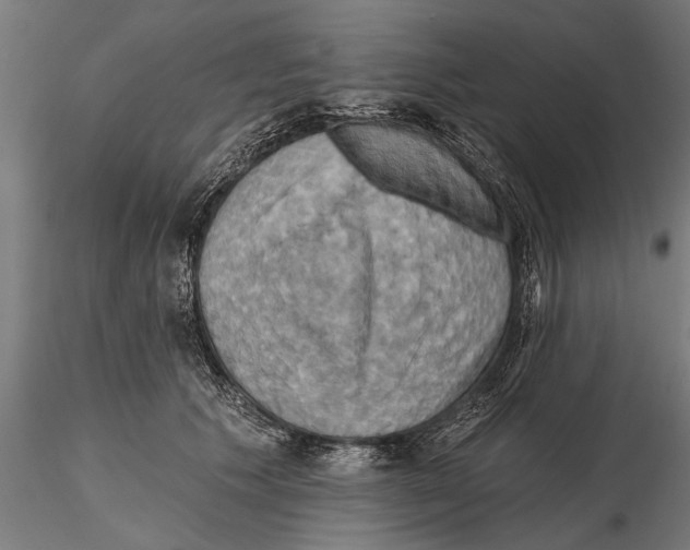 X0000115590609200912081051
