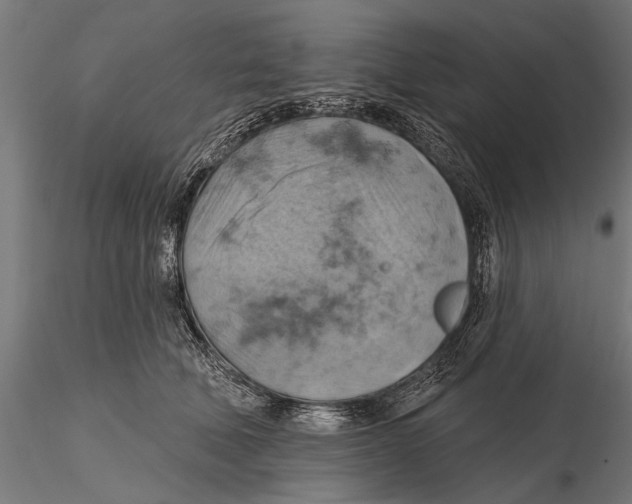 X0000115590610200912081051