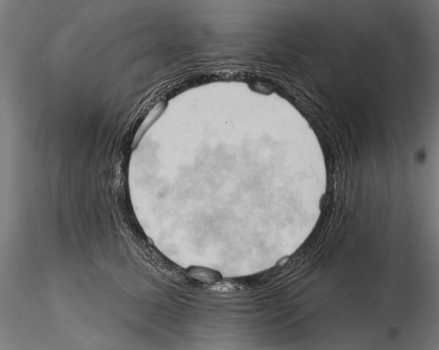 X0000115590611200912081051