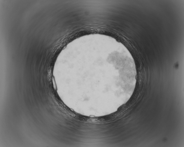 X0000115590613200912081051