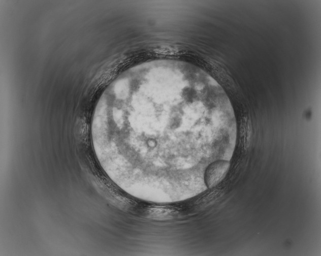 X0000115590614200912081050