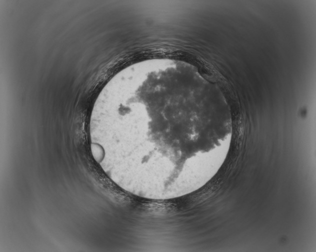 X0000115590615200912081050