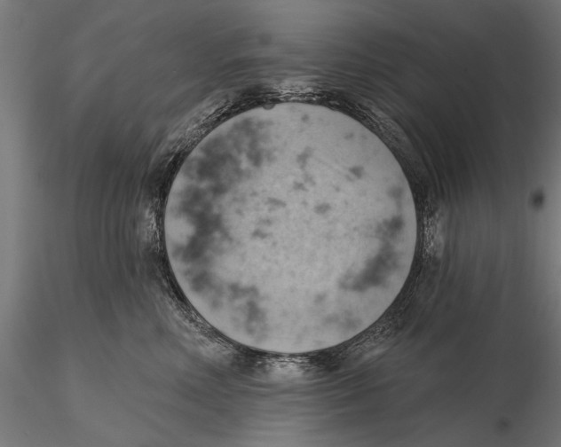 X0000115590618200912081050