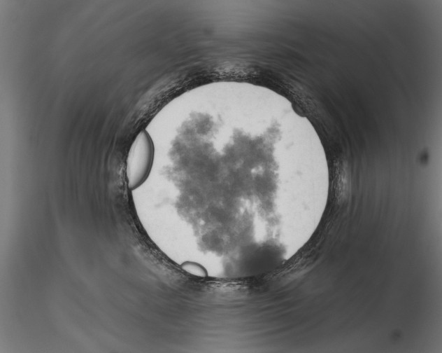 X0000115590619200912081050