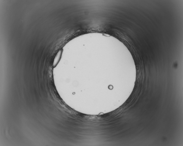 X0000115590621200912081050