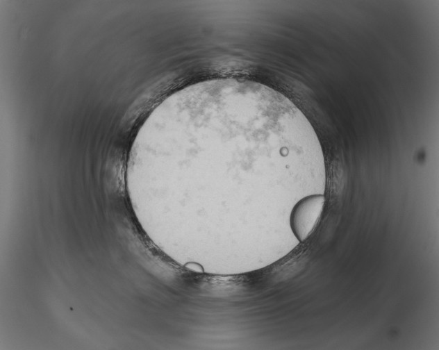 X0000115590622200912081050