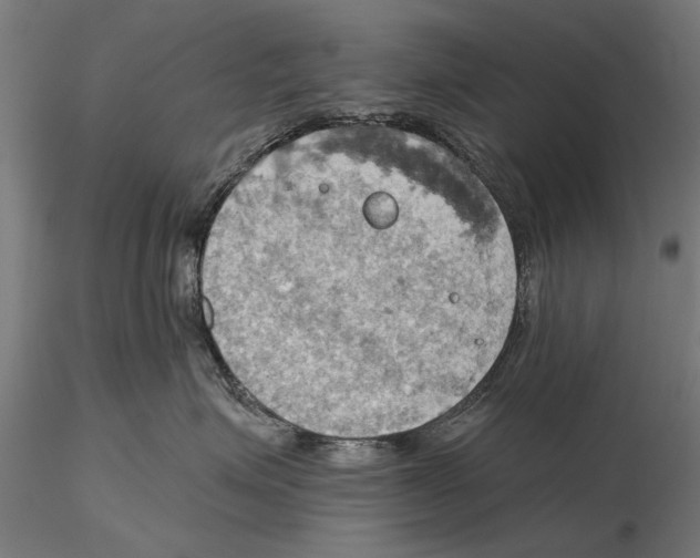 X0000115590623200912081050