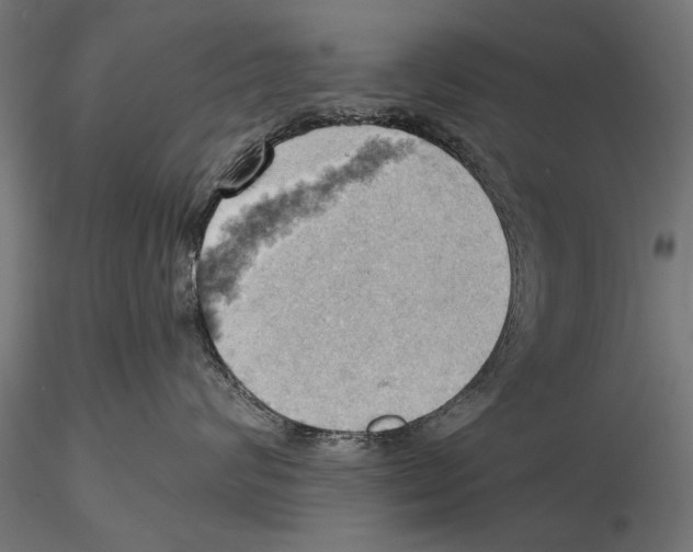 X0000115590624200912081050