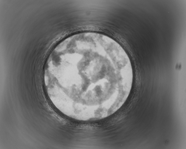 X0000115590625200912081050