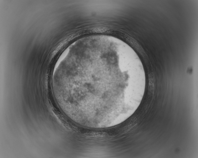 X0000115590626200912081050