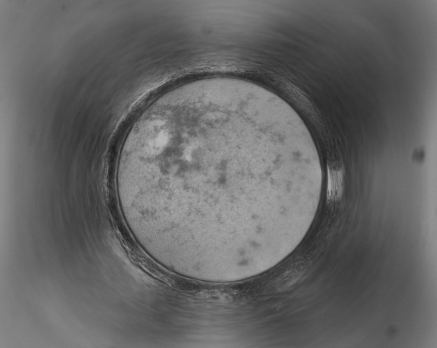 X0000115590627200912081050