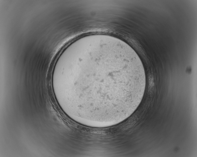 X0000115590628200912081050