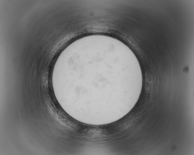 X0000115590631200912081050