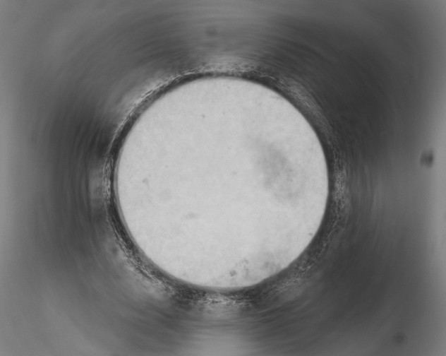 X0000115590632200912081050