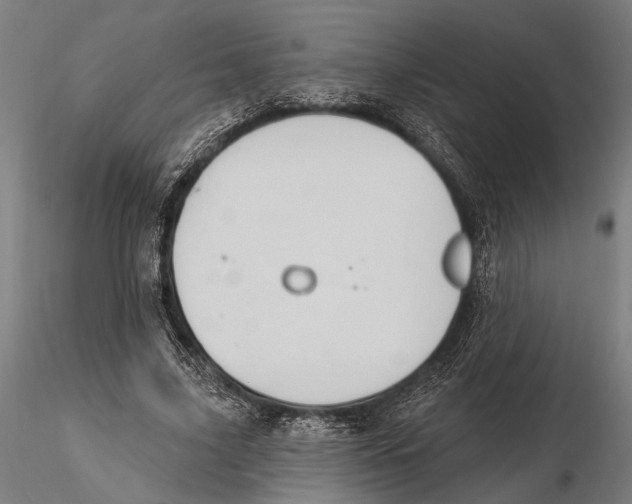 X0000115590635200912081050