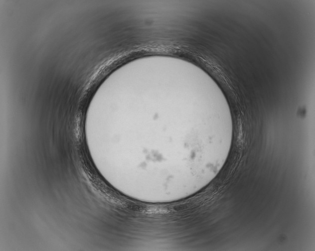 X0000115590636200912081050