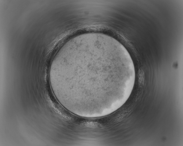 X0000115590637200912081050