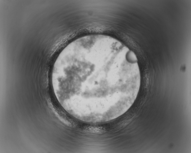 X0000115590638200912081050