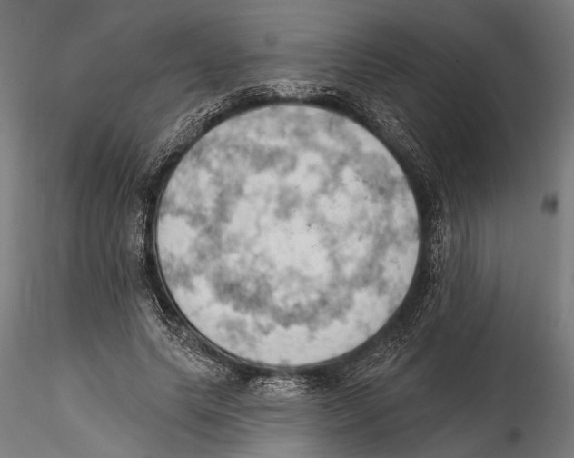 X0000115590639200912081050