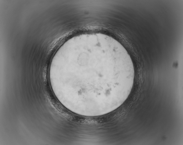 X0000115590640200912081050