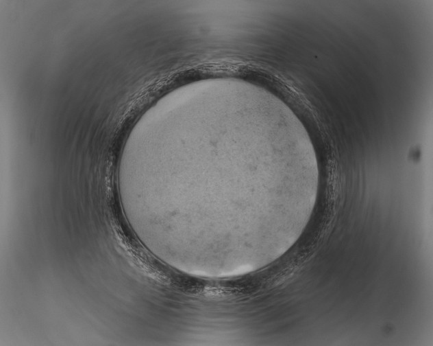 X0000115590641200912081050