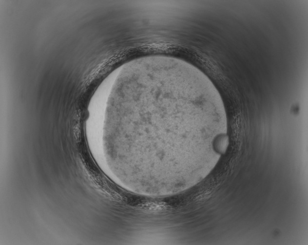 X0000115590642200912081050