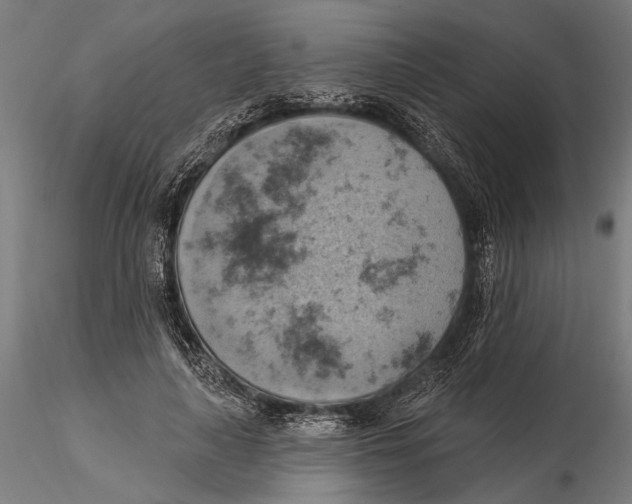 X0000115590643200912081050