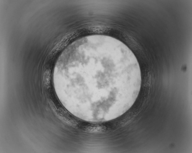 X0000115590646200912081050