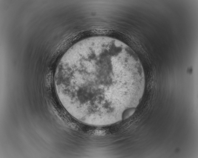 X0000115590647200912081050