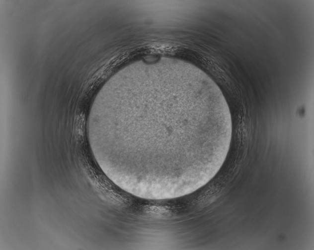 X0000115590649200912081050