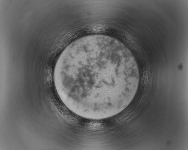 X0000115590651200912081050