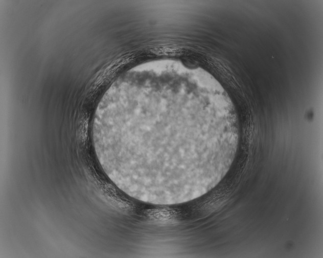 X0000115590652200912081050