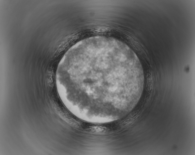 X0000115590654200912081050